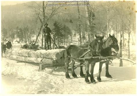 Item 101081 Horses Pulling Log Sled Ca 1890 Vintage Maine Images