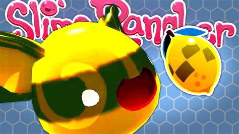 All Quantum Slime Largos And How To Get The Phase Lemon Slime Rancher