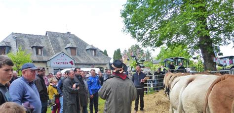 Foire Aux B Ufs Gras Du Carladez Succ S Pour Le Comice Agricole