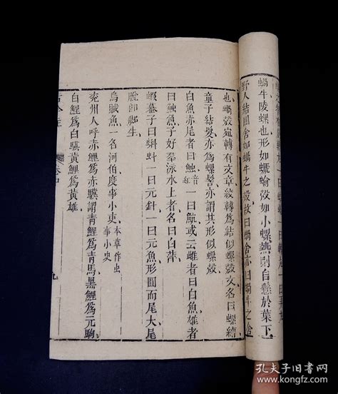 【图】【重装加衬】清代汉魏丛书精刻本【古今注】上中下三卷2册一套全，大16开本，墨色浓黑，字迹清晰，字体古朴苍劲，纸张棕黄沧桑，部分纸面有植物