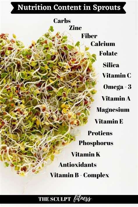 Essential Health Benefits Of Eating Sprouts The Sculpt Fitness