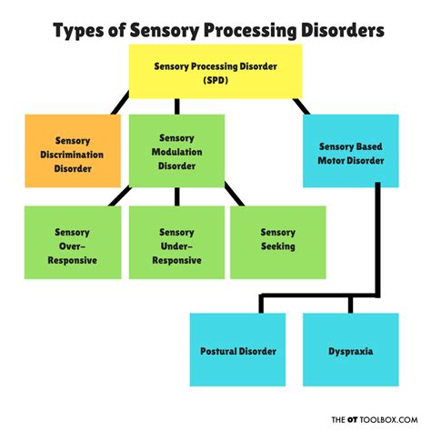 Sensory Development Chart