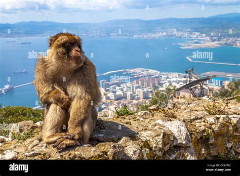 Apes Den Gibraltar Stock Photo - Alamy