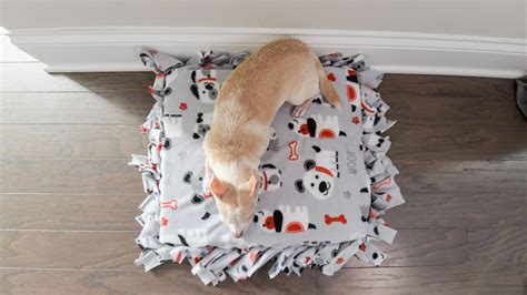 DIY No-Sew Dog Bed: An Easy, Cheap, and Fun Project for Your Pup