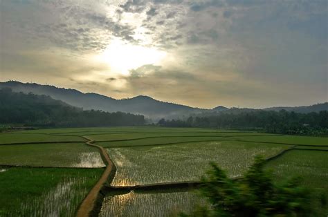 Elevation of Alathur, Kerala, India - Topographic Map - Altitude Map