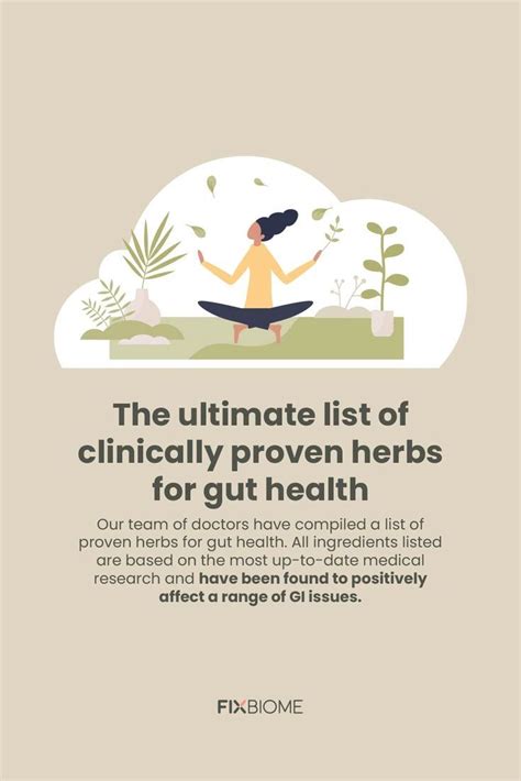 🌿 The Ultimate List Of Clinically Proven Herbs For Gut Health A List Youll Not Want To Miss