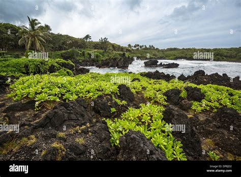 The Exotic And Famous Black Sand Beach Of Waianapanapa State Park In