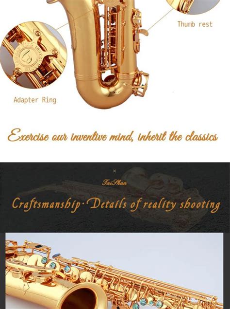 Taishan Musical Instrument 5000 Eb Alto Saxophone With Gold Lacquer