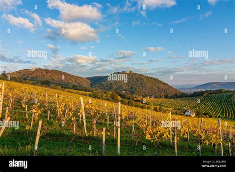 Wien Vienna Vineyards At Hill Nu Berg Mountain Kahlenberg With