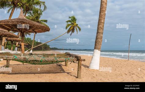 Africa Tropical Beach With Palm Trees And Sun Loungers Standing Empty