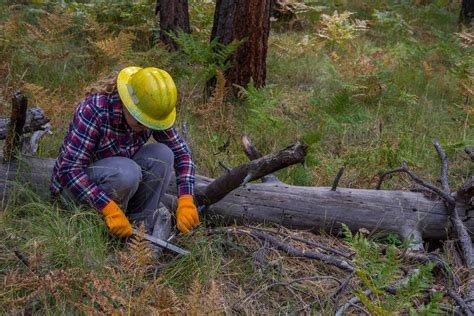 District Work Day At Houston Draw Coconino National Forest Flickr