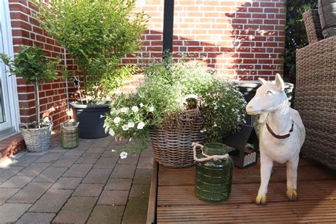 ordnung-im-garten-05 - Fräulein Ordnung