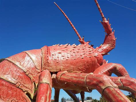 The Big Lobster - Restaurant & Menu Kingston SE, South Australia