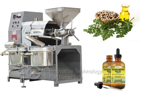 Moringa Seed Oil Extraction Machine Pili Nut Oil Press