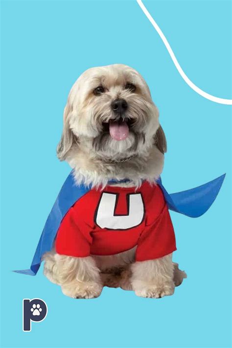 Underdog™ Dog Costume - Pet Costume Center | Best dog costumes, Big dog costumes, Dog halloween