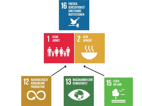 SDGs Globale Ziele lokale Wirkung Biovision Stiftung für