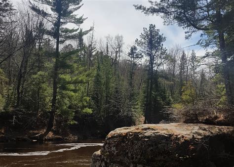 Banning State Park Camping | The Dyrt