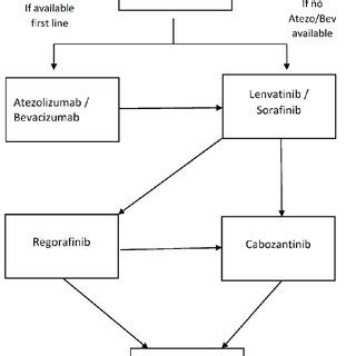 Systemic therapy flow chart. | Download Scientific Diagram