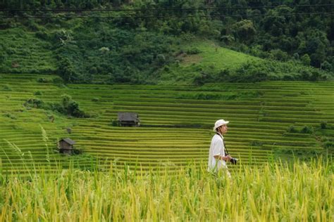 Lào Cai mở tour ngắm ruộng bậc thang kết hợp thiện nguyện sau bão Địa