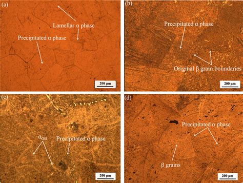 Microstructures Of Sample Solutions Aging Treated At Solution