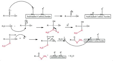 Mechanism Of Esterification Ffa Onto Sulfonated Carbon Zeolite Catalyst