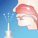 Allergic Fungal Sinusitis Raleigh Capitol Sinus Allergy Center