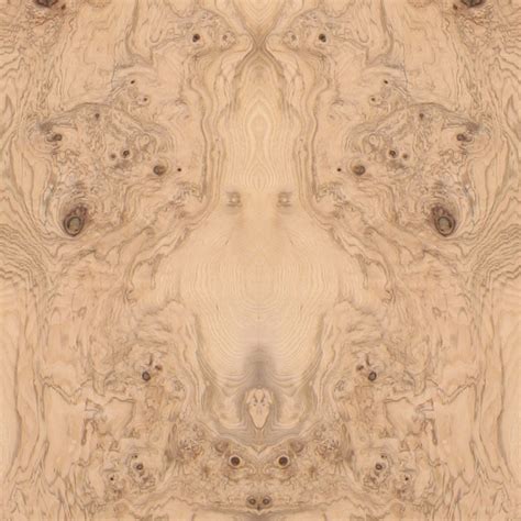 Olive Ash Burl Veneer Medium Grade Olive Ash Wood Veneers Sheets