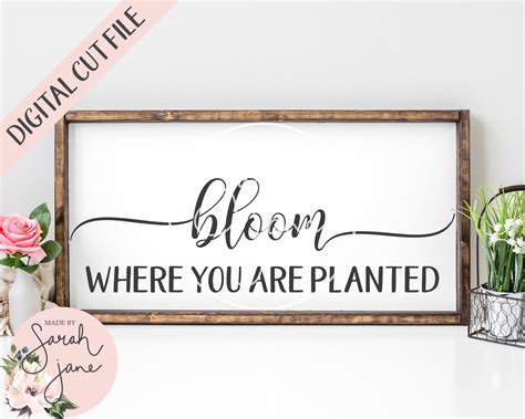 Bloom Where You Are Planted SVG Digital File Bundle svg, Dxf, Eps, Jpg ...