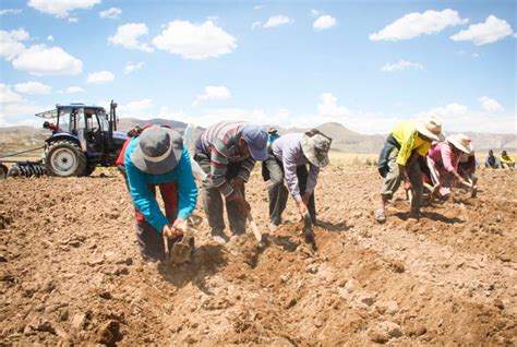 Puno Medidas Del Gobierno Son Insuficientes Para Atender Emergencia En