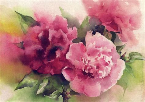 Peony Art Print Watercolor Peony Watercolor Painting Print Etsy Flower Bouquet Painting