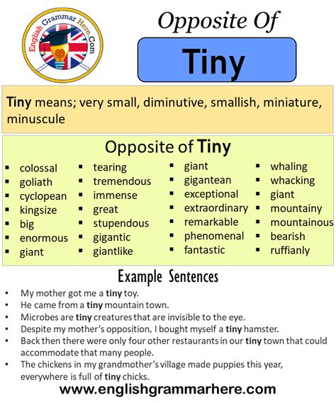 Opposite Of Tiny, Antonyms of Tiny, Meaning and Example Sentences ...