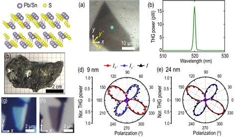 Xiaodong Yang Group Nanoscale Optics Laboratory