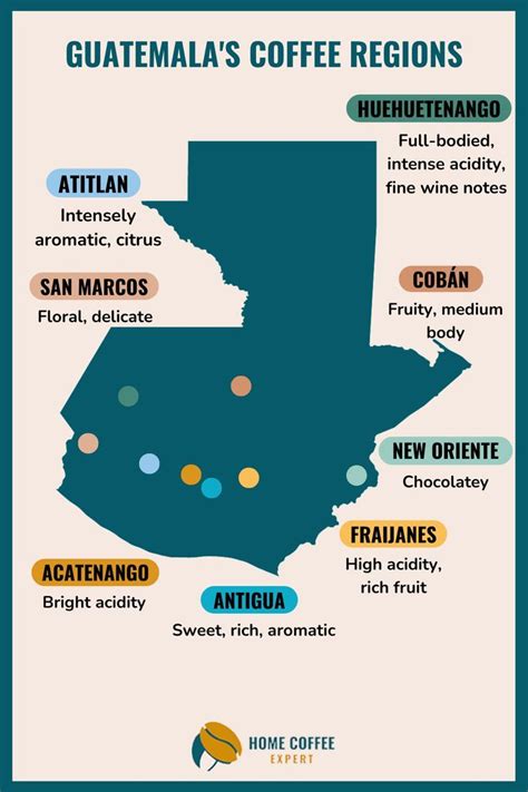 Coffee Growing Regions In Guatemala In 2023 Guatemala Coffee Coffee