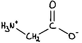 Biochemie I De Moleculaire Structuren Van De Aminozuren Flashcards