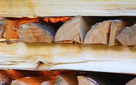 How To Stack Seasoned Firewood At Hannah Jack Blog