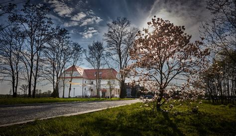 Letnia Scena Pod Drzewami Koncerty W Centrum Kultury I Sztuki W Ce