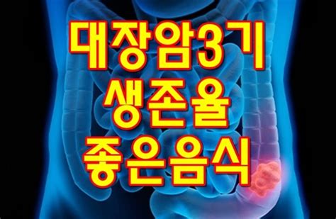 대장암3기 생존율 좋은음식으로 관리하셔야 해요 네이버 블로그