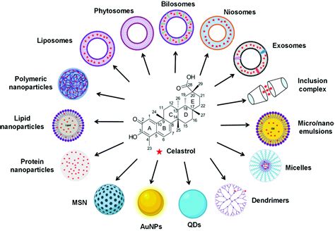 Recent Progress In Nanotechnology Based Drug Carriers For Celastrol