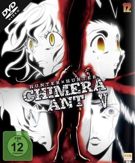 Hunter X Hunter Vol 12 Limitierte Edition 2 Dvds Jpc