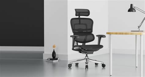 Scaun Ergonomic Ergohuman Project Genera Ia A A Cadru Negru W