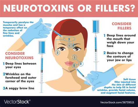 Neurotoxins or fillers infographics neurotoxin Vector Image