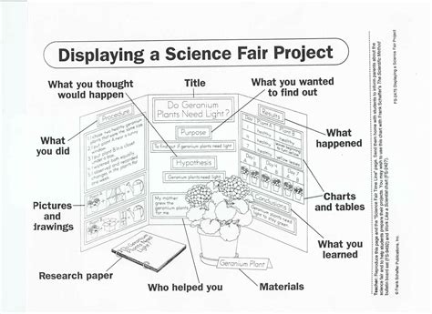 Mr. Goodman's Classroom Blog!!: Sample Science Fair Board