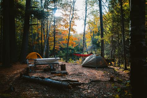 Basic Camping Gear for Beginners - My Blog