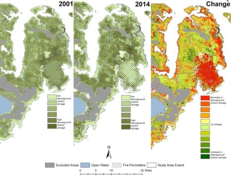 Detecting Saltwater Intrusion in Rivers Using Remote Sensing - Duke Rhodes iiD