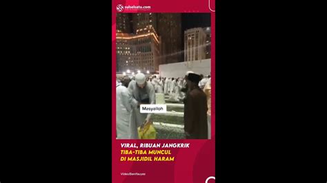 Viral Ribuan Jangkrik Tiba Tiba Muncul Di Masjidil Haram YouTube