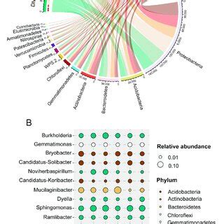 Rhizosphere Microbial Community Structure Under Different Treatments