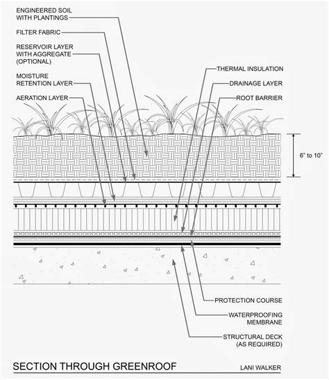 Salukitecture March