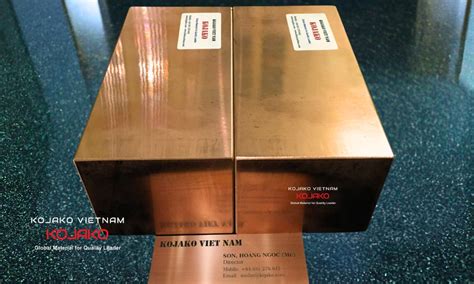 C17510 BERYLLIUM COPPER ALLOY