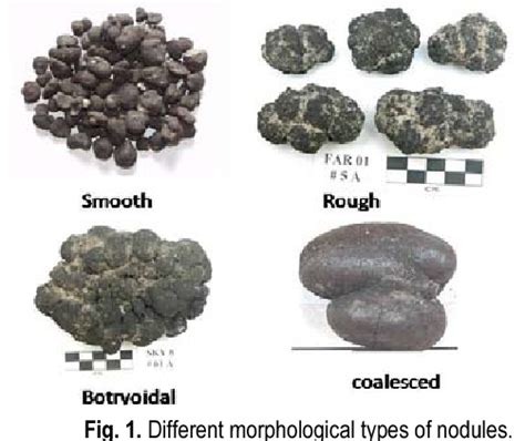 Figure 1 from Processes of formation of ferromanganese manganese ...