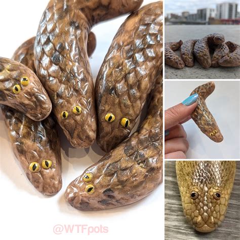 47 best Arabian Sand Boa images on Pholder | Nature Is Fucking Lit